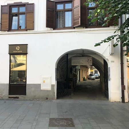 Gizell Apartment 1 锡比乌 外观 照片