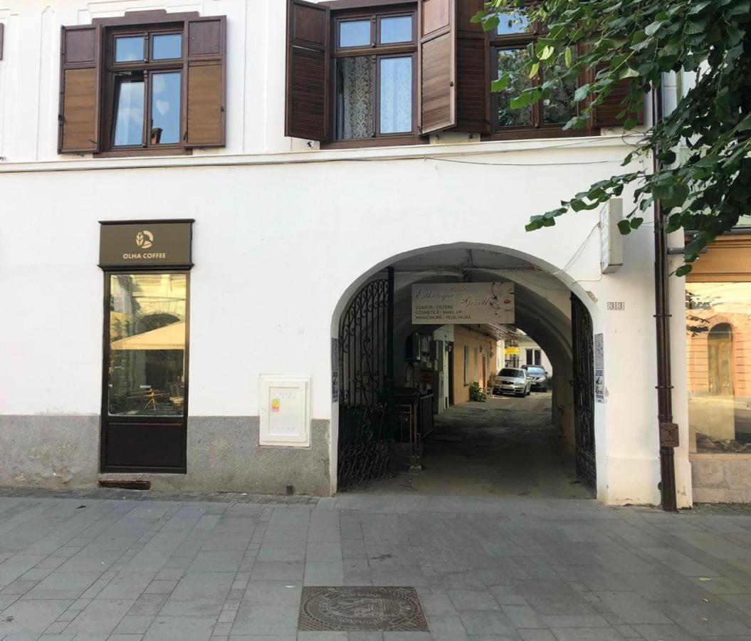 Gizell Apartment 1 锡比乌 外观 照片